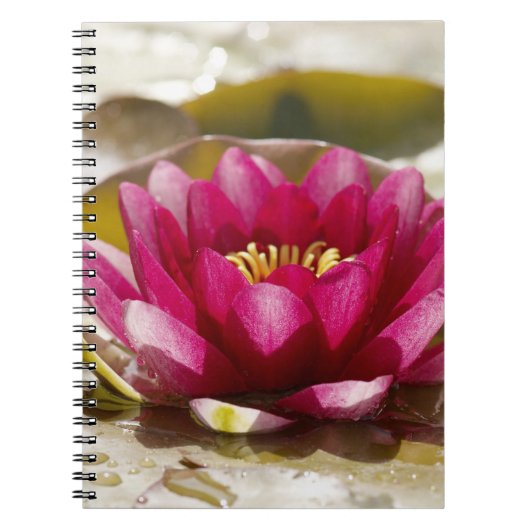 スイレン ノートブック (正面)