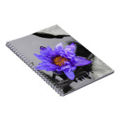 スイレン ノートブック (右側)