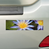 スイレン バンパーステッカー (車上)