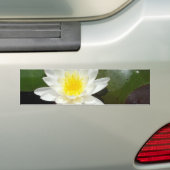 スイレン バンパーステッカー (車上)