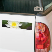 スイレン バンパーステッカー (トラック上)