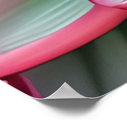 スイレン ポスター (角)