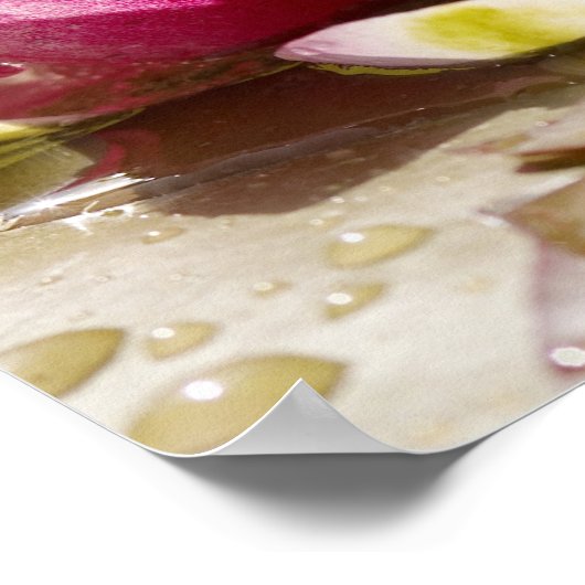 スイレン ポスター (角)