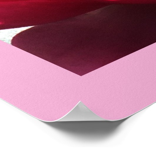 スイレン ポスター (角)