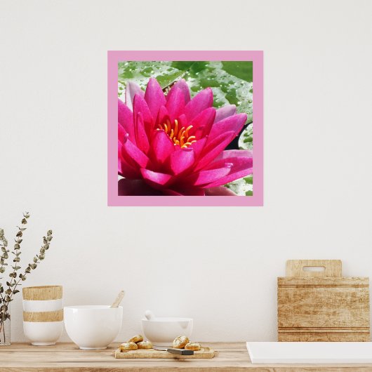 スイレン ポスター (キッチン)