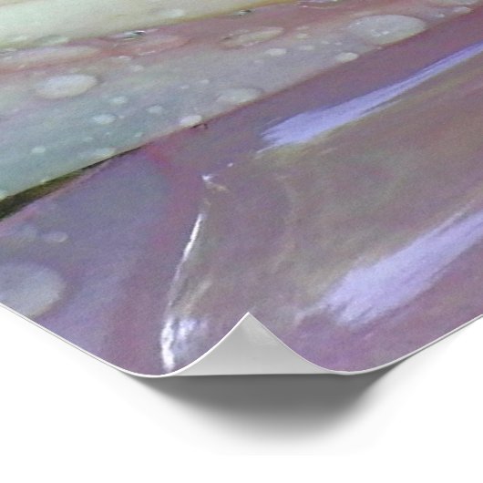 スイレン ポスター (角)