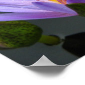 スイレン ポスター (角)