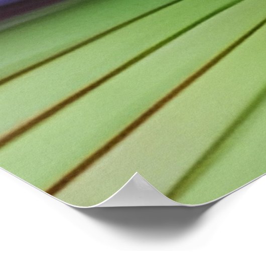 スイレン ポスター (角)