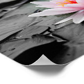 スイレン・ポスター ポスター (角)