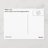 スイレン ポストカード (裏面)