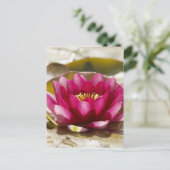 スイレン ポストカード (スタンド正面)