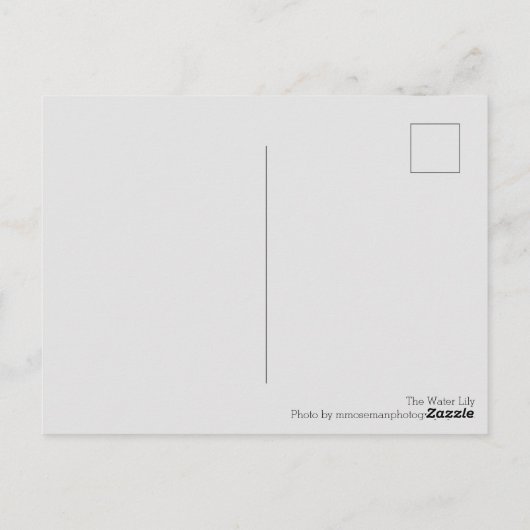 スイレン ポストカード (裏面)