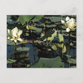 スイレン ポストカード (正面)