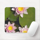 スイレン マウスパッド (マウス)