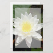 スイレン 便箋 (正面/裏面)