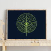 スイレン |壁プリント子供へ室 ポスター