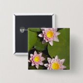 スイレン 缶バッジ (正面&裏面)