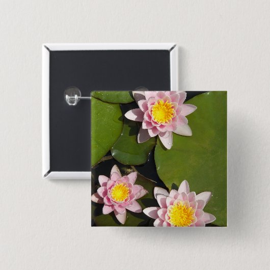 スイレン 缶バッジ (正面&裏面)