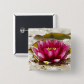 スイレン 缶バッジ (正面&裏面)