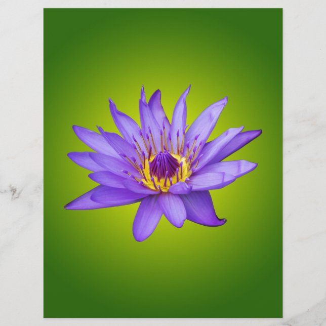 スイレン 花 池 水生植物 紫色の水の花 (正面)