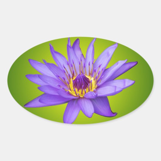 スイレン 花 池 水生植物 紫色の水の花 楕円形シール (正面)