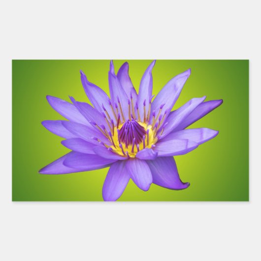 スイレン 花 池 水生植物 紫色の水の花 長方形シール (正面)