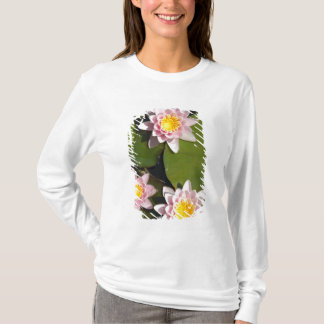 スイレン Tシャツ