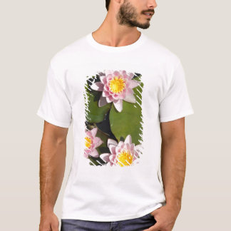 スイレン Tシャツ