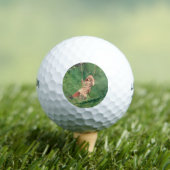 スイングの女の子（農村児） （ウィンスローホームマー） ゴルフボール (インサイチュ 木)