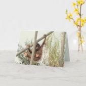 スイングベビーオランウタン誕生日カード カード (黄色い花)