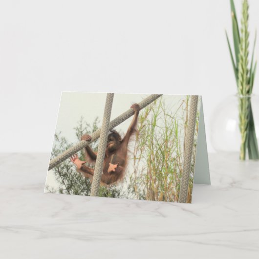 スイングベビーオランウタン誕生日カード カード (正面)