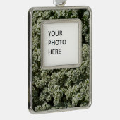 スイートアリスサムフラワーホワイトフローラ シルバープレートフレームオーナメント (右)