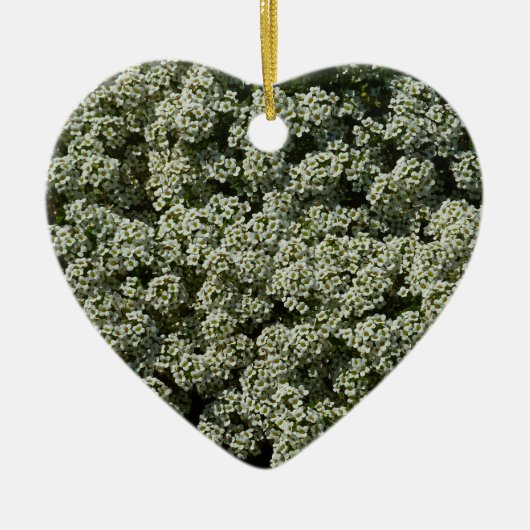 スイートアリスサムフラワーホワイトフローラ セラミックオーナメント (正面)