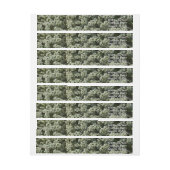 スイートアリスサムフラワーホワイトフローラ ラップアラウンドラベル (シート)