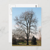 スイートガム ポストカード (正面/裏面)