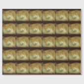 スイートキティキャットラッピング紙 ラッピングペーパー (フラット)