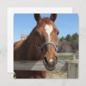 スイートクォーターホース招待状 招待状 (正面/裏面)