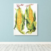 スイートコーン2013 キャンバスプリント (インサイチュ (ウッドフロア))