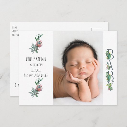 スイートサボテンベビー誕生写真のお知らせ ポストカード (正面/裏面)