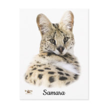 スイートサマラ