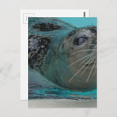 スイートシール ポストカード (正面/裏面)