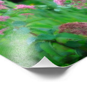 スイートジョーパイウィードワイルドフラワー8x8 フォトプリント            (角)