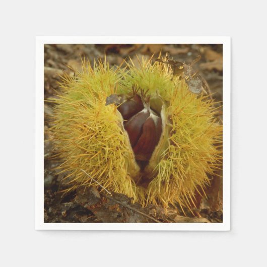 スイートチェストナット紙ナプキンズ スタンダードカクテルナプキン (正面)