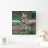 スイートチワワワンピーガンドッグワンベ スクエア壁時計 (ホーム)