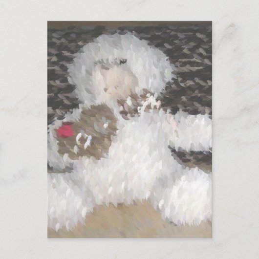 スイートテディベア ポストカード (正面)