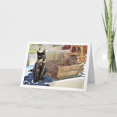 スイートトトイセシェルキッテン カード (正面)