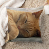 スイートドリームズピロー クッション (ブランケット)