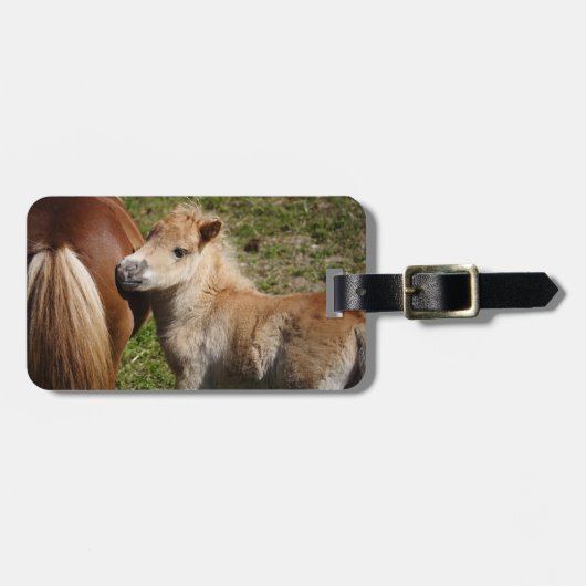 スイートハフリンガーフォール ラゲッジタグ (正面横)