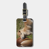 スイートハフリンガーフォール ラゲッジタグ (正面縦)