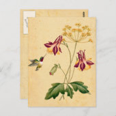 スイートハミングバード ヴィンテージ植物園 ポストカード (正面/裏面)